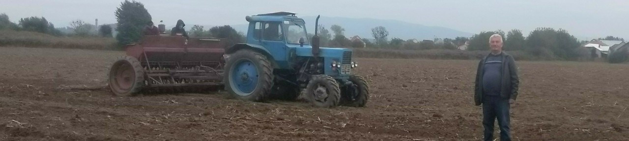 ЗАКЛАДАННЯ КОЛЕКЦІЇ СОРТІВ ОЗИМОЇ ПШЕНИЦІ МОРОНІВСЬКОЇ СЕЛЕКЦІЇ НА МАЛИХ ДЕМОНСТРАЦІЙНИХ ДІЛЯНКАХ НАВЧАЛЬНОГО ГОСПОДАРСТВА